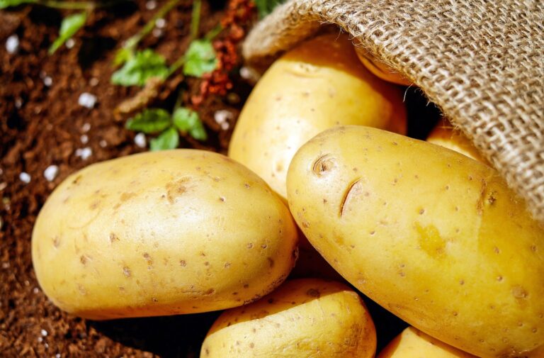 Cartoful: proprietati, beneficii, mod de utilizare, contraindicatii si remedii cu cartofi