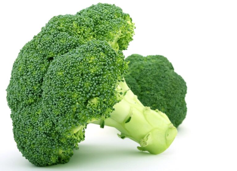 Broccoli: beneficii, proprietati, contraindicatii si mod de preparare