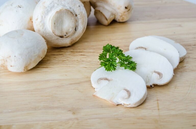 Ciuperci: proprietati nutritionale, beneficiile consumului de ciuperci si contraindicatii