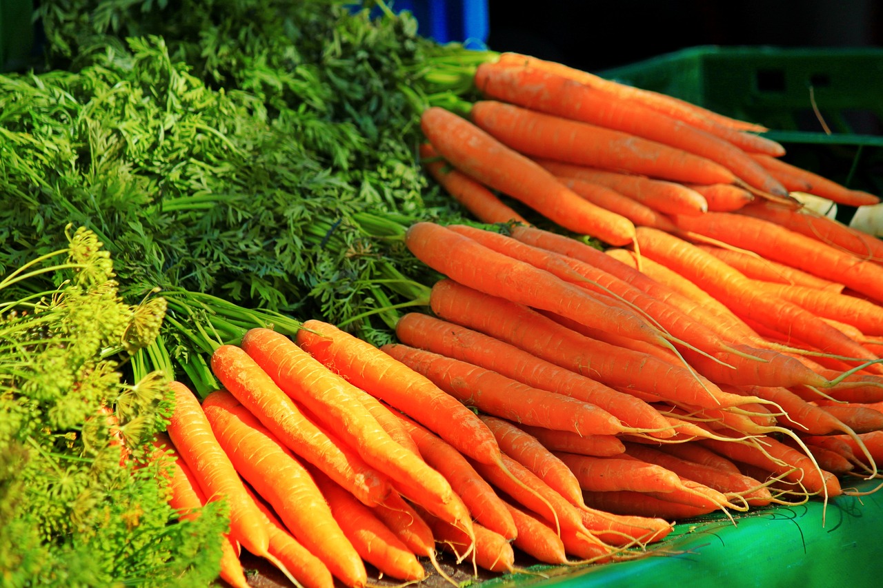 Morcov principalele proprietati ale morcovilor, beneficiile pentru sanatate, valorile nutritionale, caloriile, contraindicatiile si multe alte informatii despre morcov.