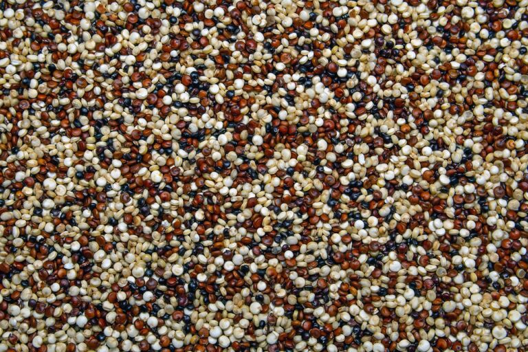Quinoa – proprietăți, descriere, beneficii, mod de utilizare și contraindicații