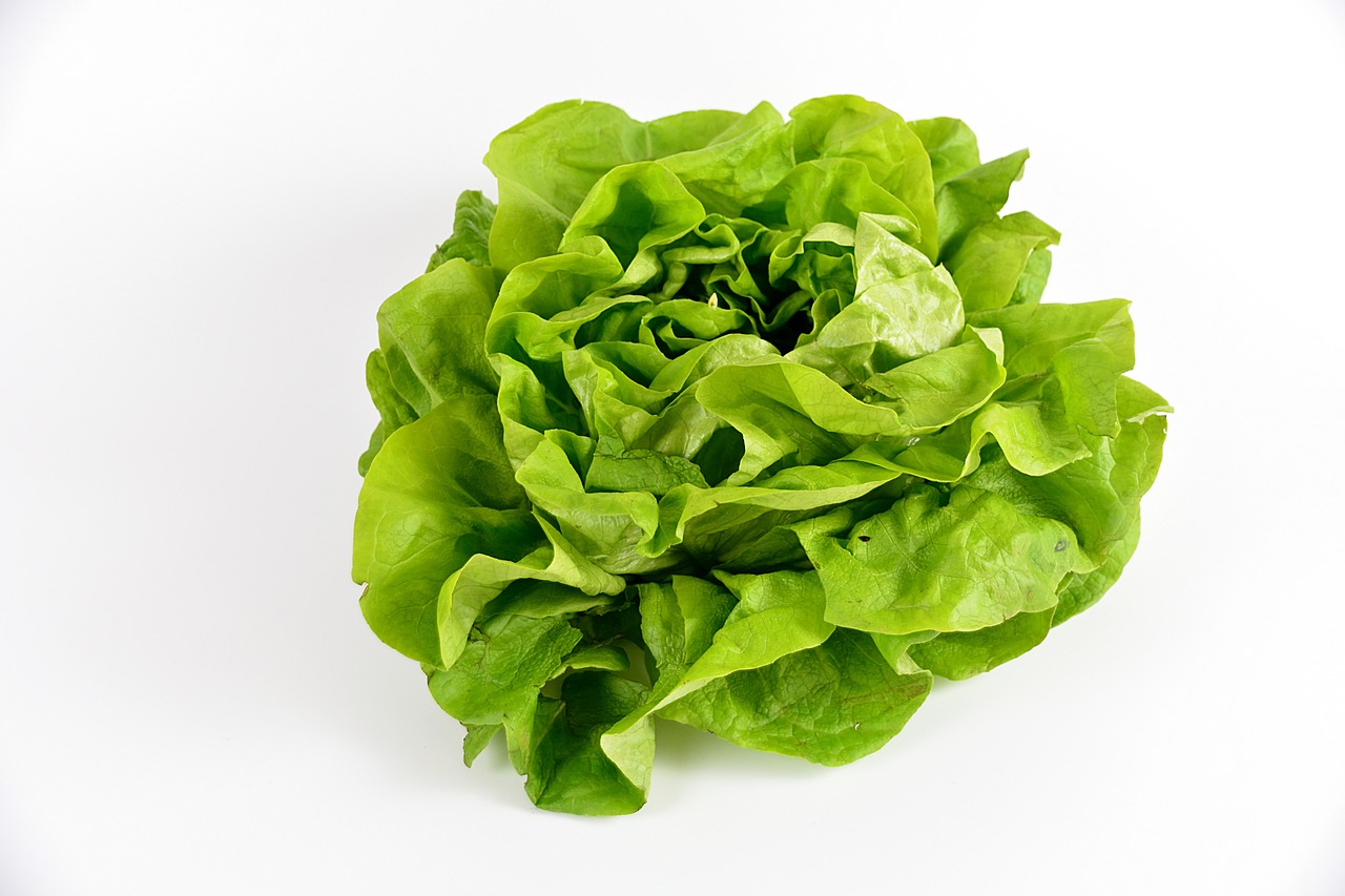 Salata verde proprietăți, beneficiile pentru sănătate, caloriile, valorile nutriționale, modul de utilizare, contraindicațiile și multe alte informații despre salata verde.
